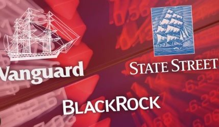 Vanguard, BlackRock, State Street got slapped down on ESG