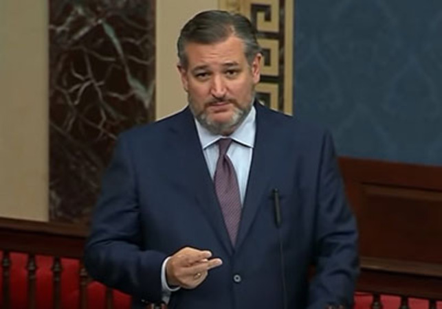 Cruz blocks Dems' attempt to federalize elections