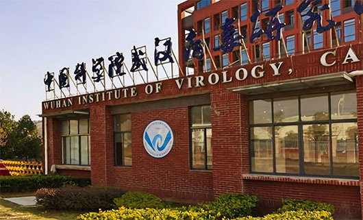 Research on deadly Nipah virus conducted at Wuhan lab