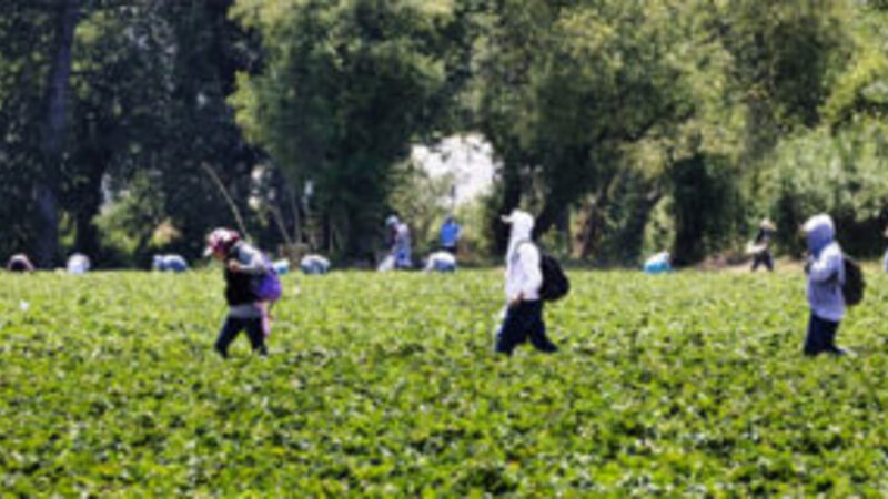 Cartels prey on those enticed by Joe Biden's open border
