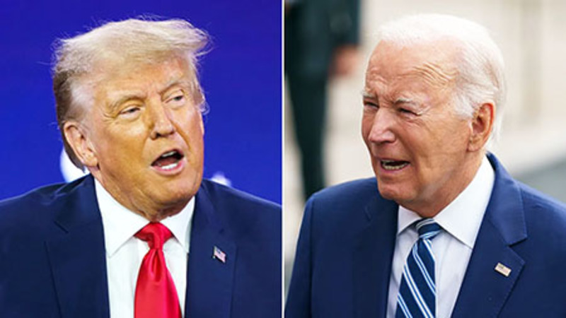 Insurrection? Poll finds majority of Dems oppose certifying Trump victory