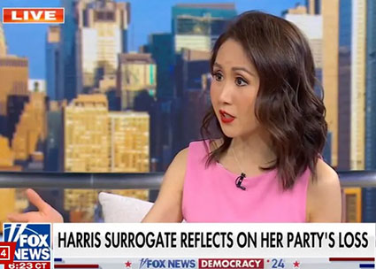 Democrats venting over the Harris $1 billion ‘disaster’