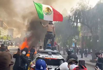LA has a 'wolf problem': They are not 'peaceful protesters'