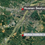 Classified report states China deliberately misled world on virus