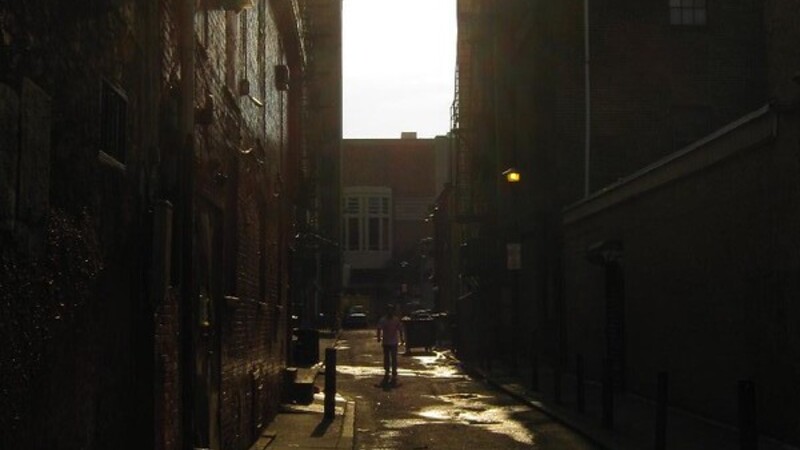 ‘Tree Equity’: Democrat Spending Bill Designates $3B to Make Low-Income Neighborhoods Green
