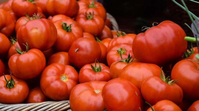 Alabama farmers reap benefits from Trump policy, tariffs on Mexican tomatoes    