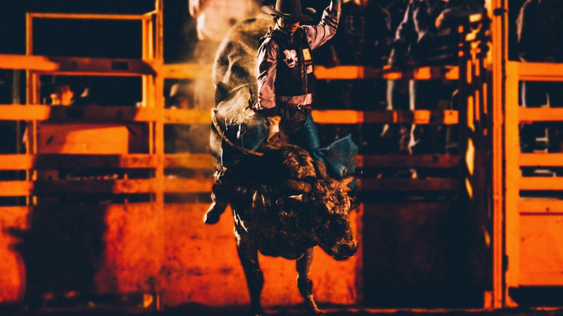  The World's Top-Ranked Bull Rider 