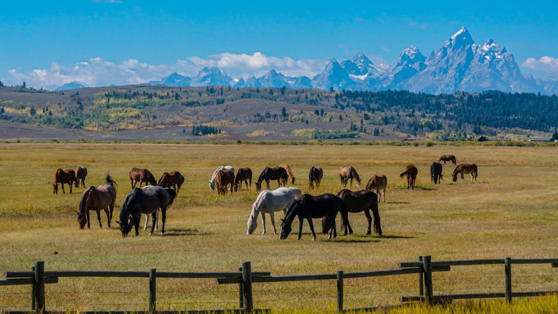  ‘Big Beautiful Bill’ creates economic obstacle for renewable energy in Wyoming