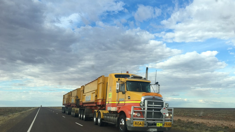 Drivers Association has asked the U.S. Department of Transportation to take big steps regarding the issuance of non-domiciled CDLs