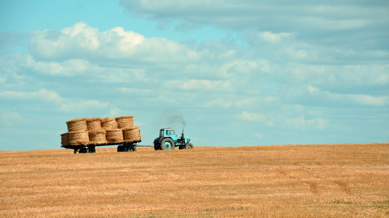 'The Upcoming Green New Farm Bill' by Steve
