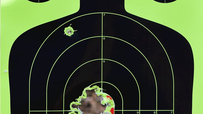 'Transgender Involvement in Mass Shootings' by Steve