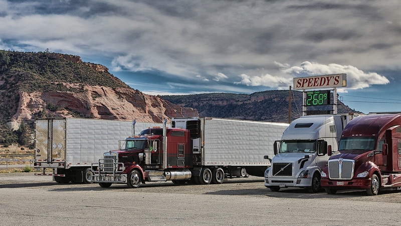 'Road Safety, Immigration, and Language Barriers' by Steve