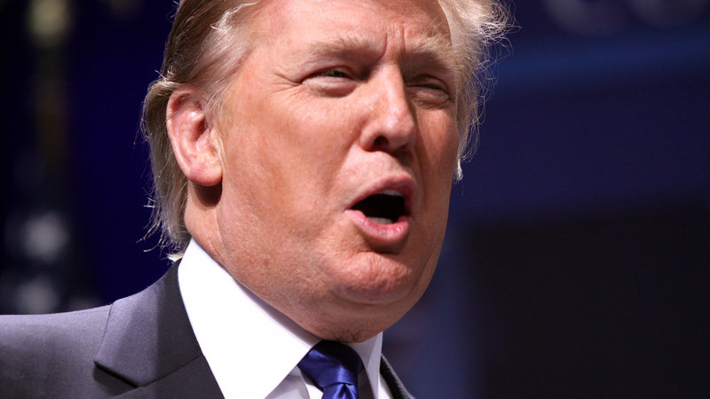 'The End of MAGA? Part 2' by Steve