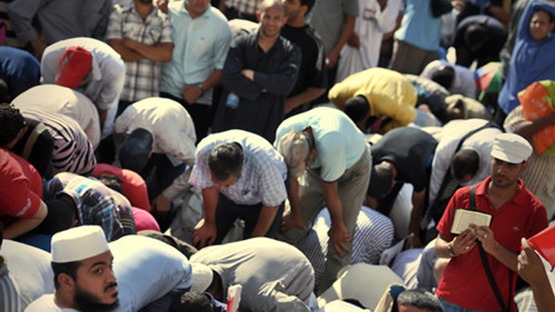 'Red State Resettlement' by Steve