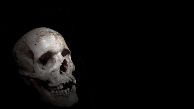 'Follow the fake Science' by Steve