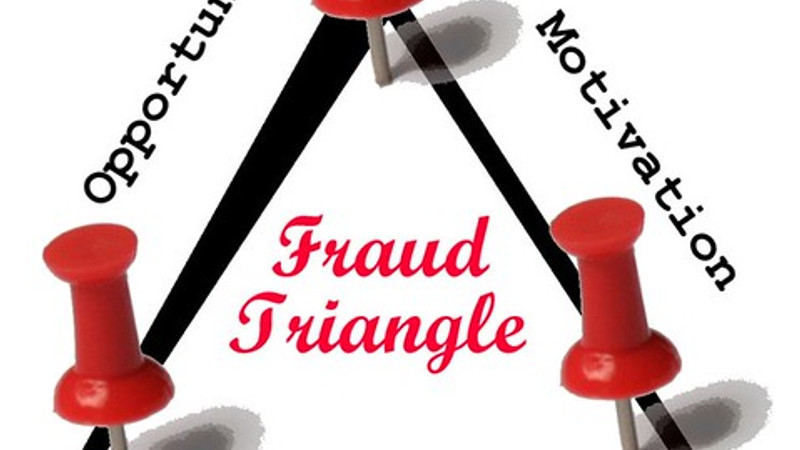 'Immigrant Fraud Is Nothing New' by Steve