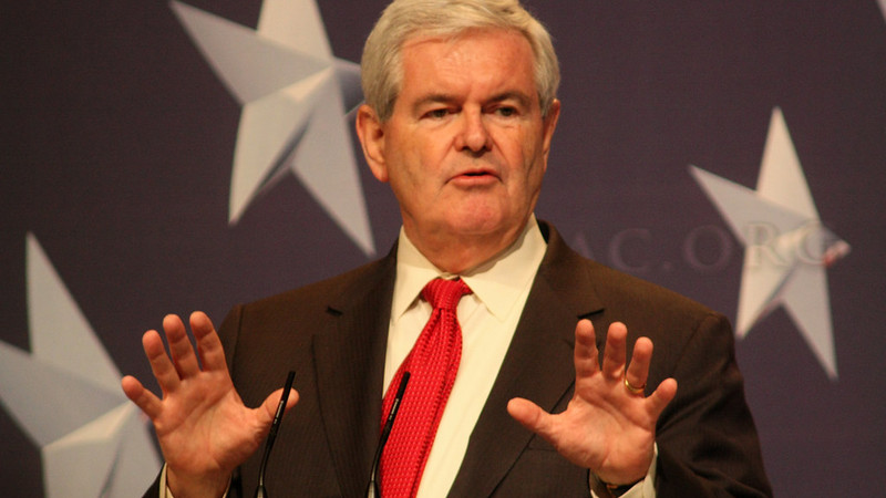 'Newt's 6 point plan' by Steve