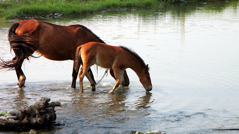 'Water intake in the Summer months' by Scott