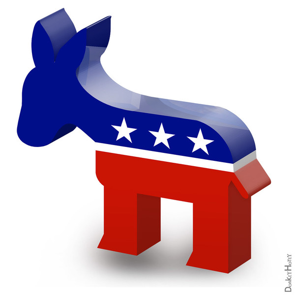 'Waste, Democrat Fraud and Abuse' by Steve