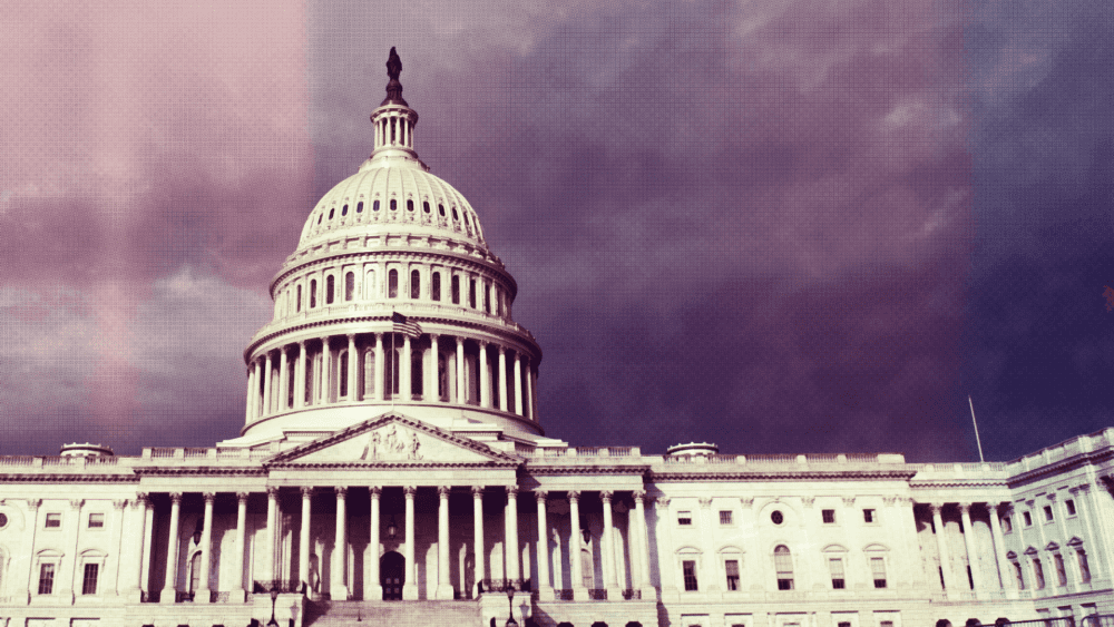 Humans Making News: What it Takes to Win in the Sunshine State with Deborah Adeimy