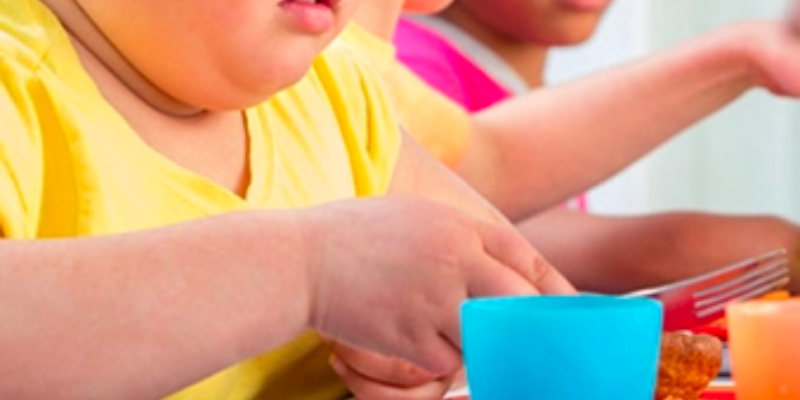 EU study reveals overweight boys have smaller testicles, higher risk of infertility