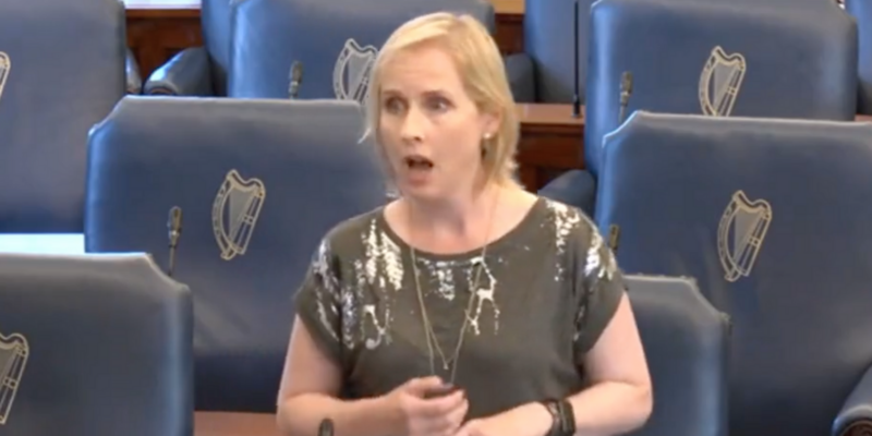 Irish Green Party member says bill 'restricting freedom' is for 'the common good'
