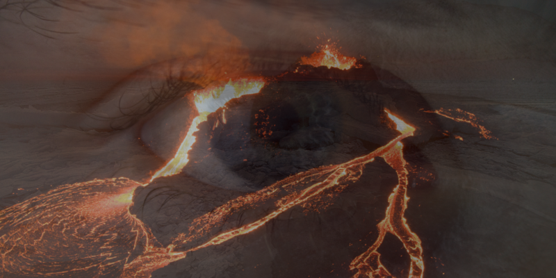 RAW EGG NATIONALIST: 'Read this one WEIRD book if you want to see the future'