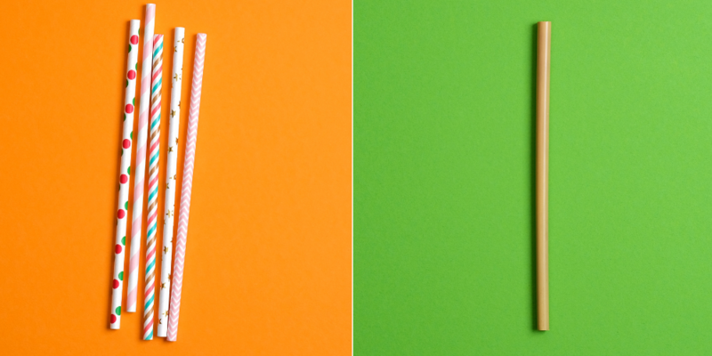 JOBOB: Paper straws contain harmful PFAs, worse than plastic straws