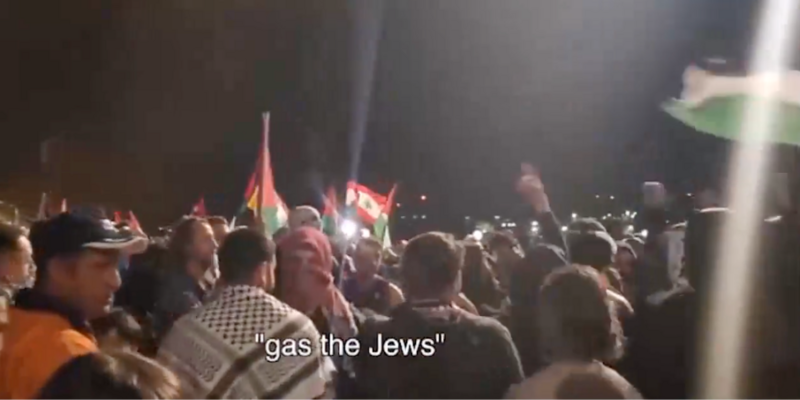 'Gas the Jews': Pro-Hamas activists protest Israel in front of Sydney Opera House