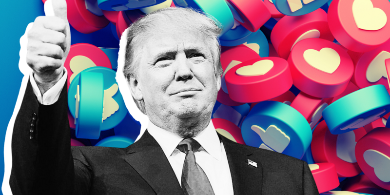 ERICA KNIGHT: We need Trump because only Trump can hijack the establishment's narrative