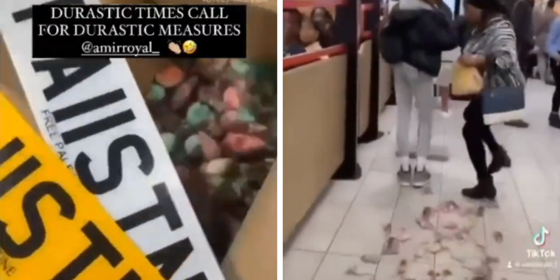 British Pakistani TikToker paints mice colors of Palestinian flag, sets them loose in McDonalds