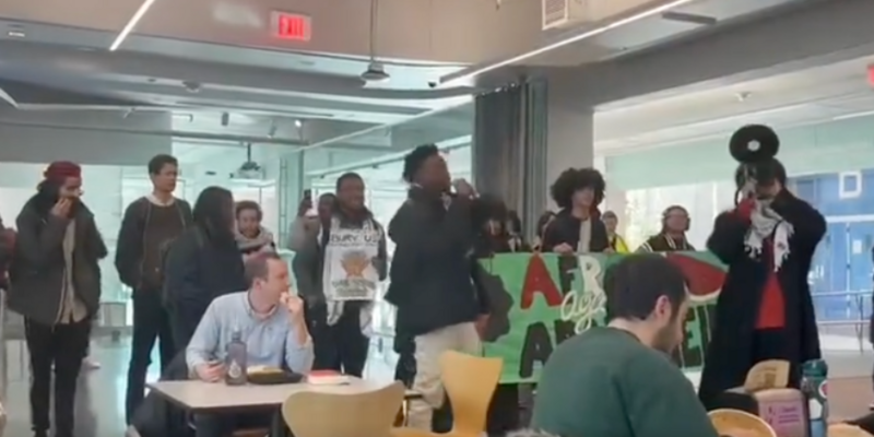 ERIN ELMORE: Harvard sued by students over 'rampant' antisemitism