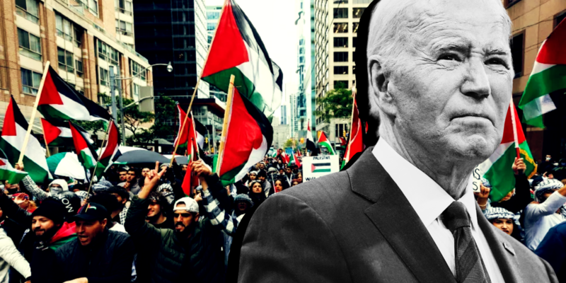 HUMAN EVENTS: The pro-Hamas protesters are Democrats’ Frankenstein’s monster