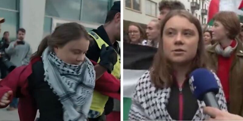 Greta Thunberg arrested during Gaza protest at Eurovision contest