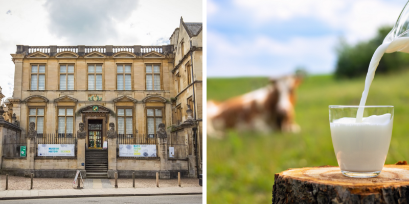 'Experts' claim milk is 'racist,' linked to 'colonialism' in UK taxpayer-funded study
