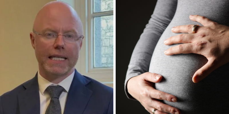 Ireland Health Minister REJECTS amendment preventing pedophiles from buying babies through surrogacy