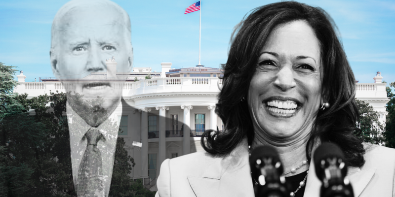 LIBBY EMMONS: This is not what democracy looks like