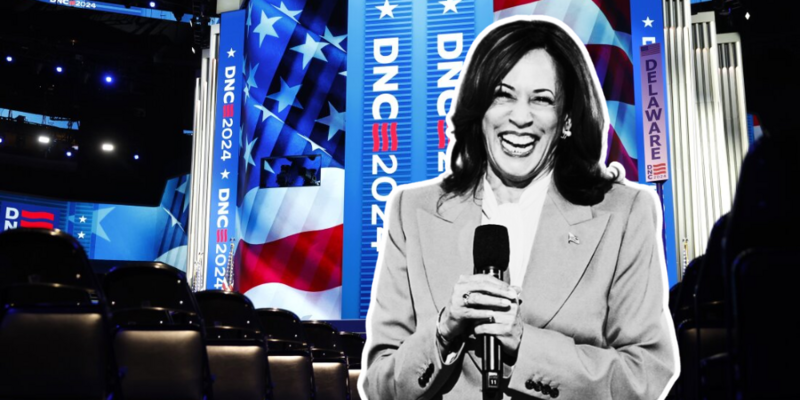 MICHAEL J PAPPAS: The Democrats' platform proves they are now a socialist party