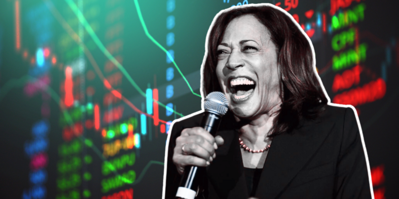 AUSTIN PETERSEN: Kamala Harris' capital gains tax proposal is coming for you, not only the billionaires