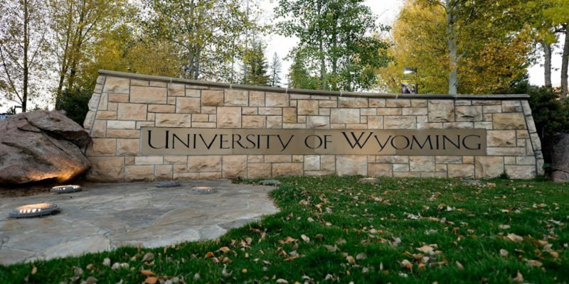 MORGONN MCMICHAEL: University of Wyoming women's volleyball forfeits match against team with trans-identified male
