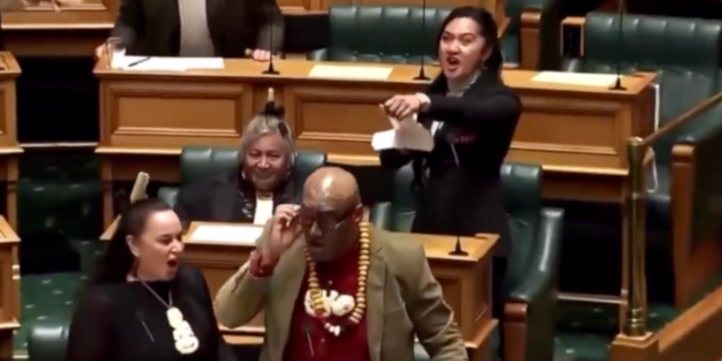 WATCH: Maori MPs stage haka in New Zealand parliament to protest bill to limit preferential treatment for indigenous people