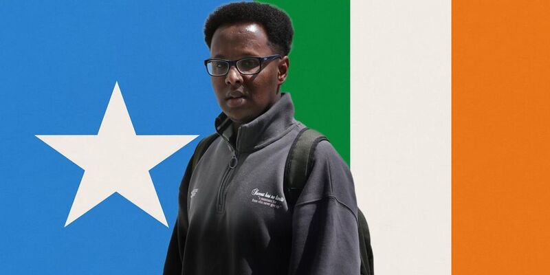 Somali 'asylum seeker' sentenced to 8 months in jail in Ireland for ejaculating on Irish woman in broad daylight
