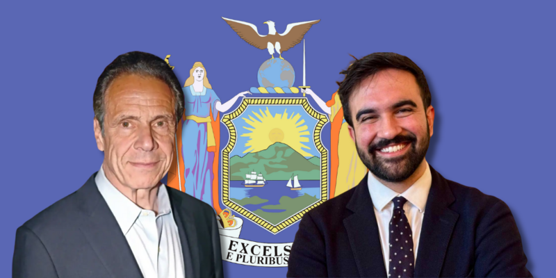 BRUCE LEVELL: New Yorkers must choose between a parade of horribles in Dem mayoral primary