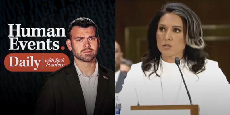 JACK POSOBIEC: Gabbard files reveal Obama covered up intel to undermine Trump