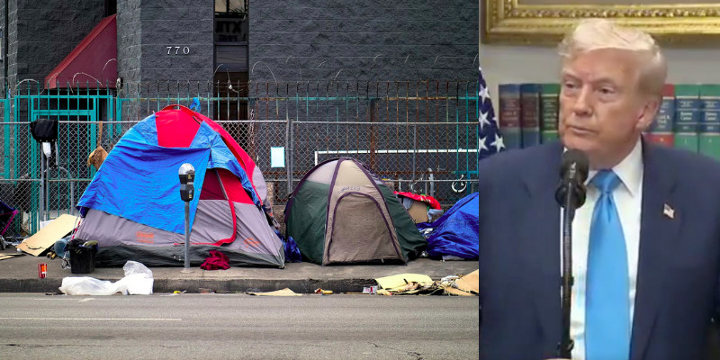 SOAD TABRIZI: Trump's plan to combat homelessness is a good start—but woke psychiatry needs to be overhauled