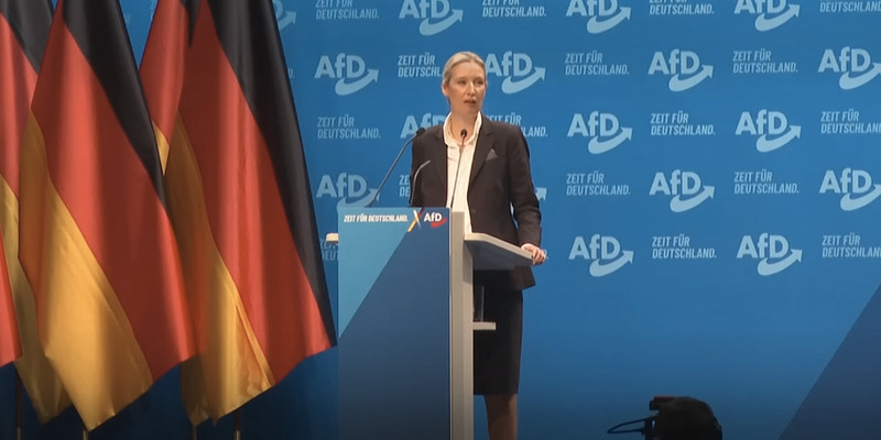 'Statistically impossible': 7 AfD candidates die before local German elections 