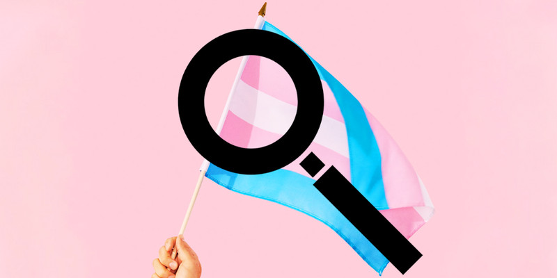 SOAD TABRIZI: The trans boom collapse proves it was ideological, not biological