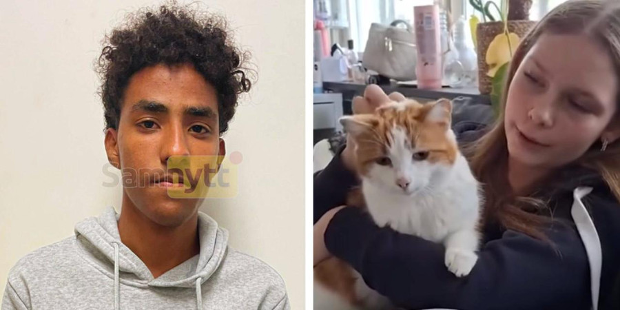 Eritrean migrant will not be deported from Sweden after rape conviction ...