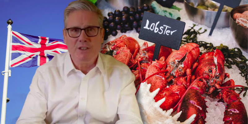 UK govt to ban boiling lobsters and crabs alive under new animal welfare rules