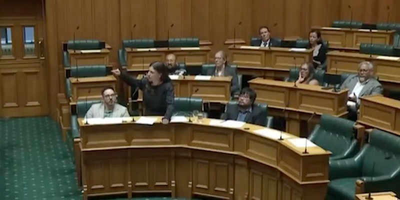 'English was beaten into people': New Zealand MP claims English is oppression